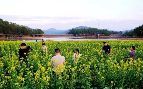长汀红湖村：油菜花开春光美，乡村振兴展新颜