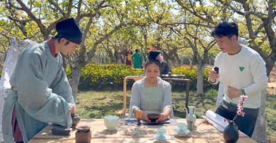 春城花海盛宴——昆明与三城联动直播绽放春日之美