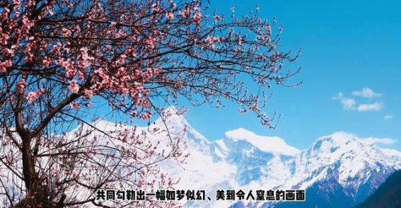 林芝赏桃花攻略：邂逅桃花仙境的春日之约