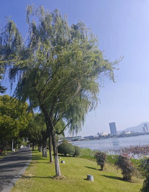 南京游记：在玄武湖畔与秦淮河边的悠闲时光