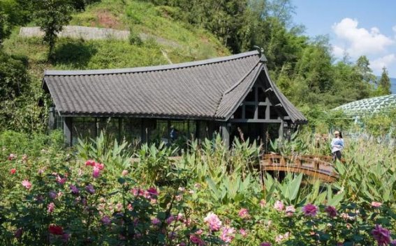 雨中雅安：一座绿色之城的文化与自然