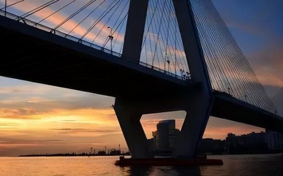 1400万大桥坍塌之谜：钢筋缺失背后的真相