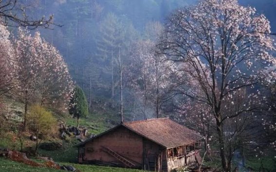 四川绵阳的隐秘美景与历史遗韵，探访李子柒的梦境