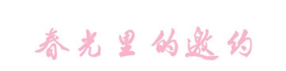 盐亭春光中的紫叶李与浪漫邂逅