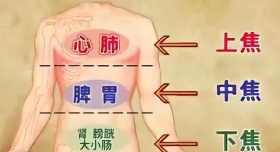 三焦堵塞，湿热难清！如何调理，轻松祛湿热