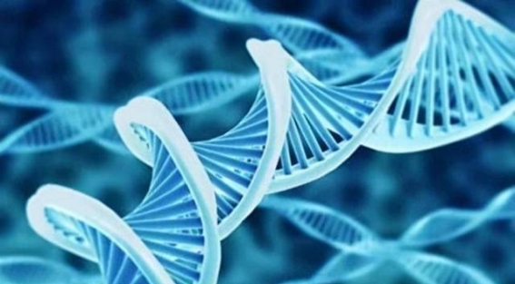 癌症的“偏爱”：6个习惯让你更容易“中招”，你有吗？