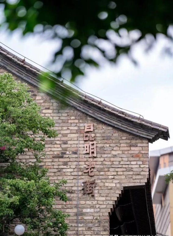 春光无限，昆明之旅必体验——探索蓝花楹的梦幻花海