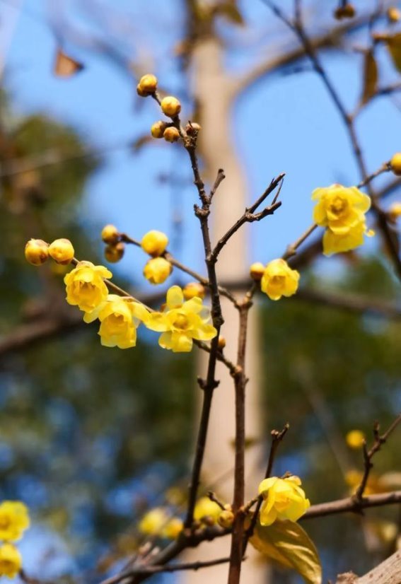 周末重启生活：在绿博园与春天邂逅