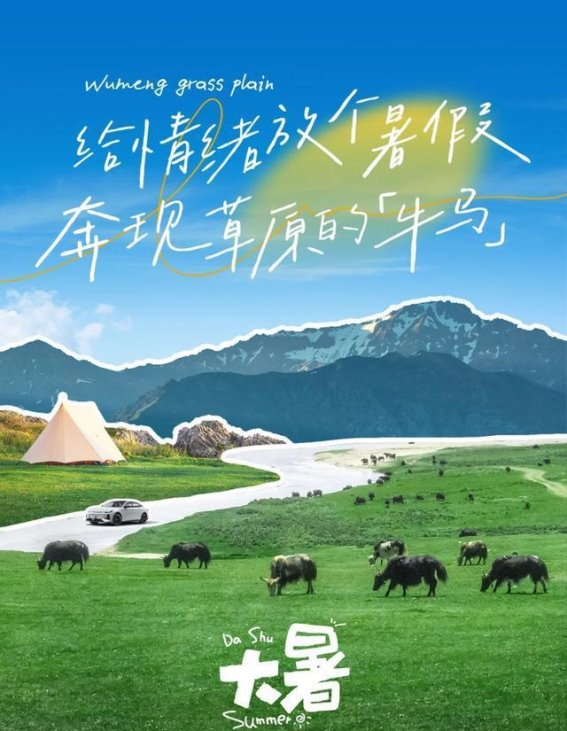 夏日清凉之旅：探秘乌蒙大草原的避暑胜地