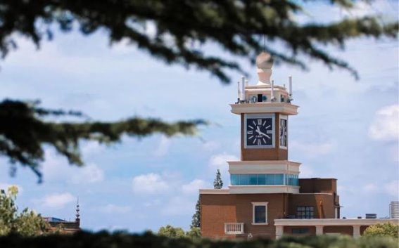 如果金汇也有冰雪大世界……