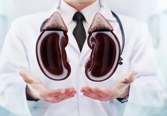 肾脏健康警示：日常生活中的4个坏习惯你是否正在犯？