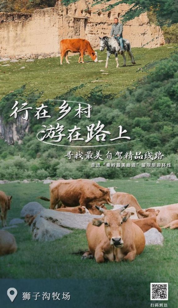 走进大秦岭的绿野仙踪