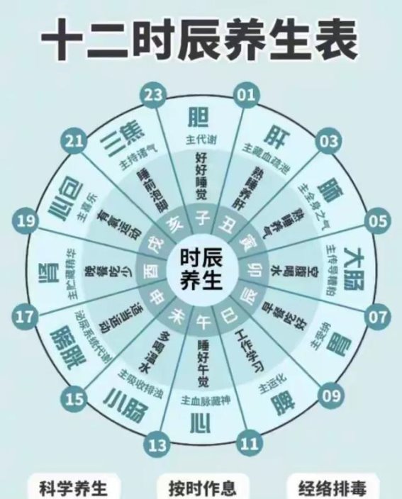 从阴阳则生，逆之则死：顺应十二时辰的作息养生法