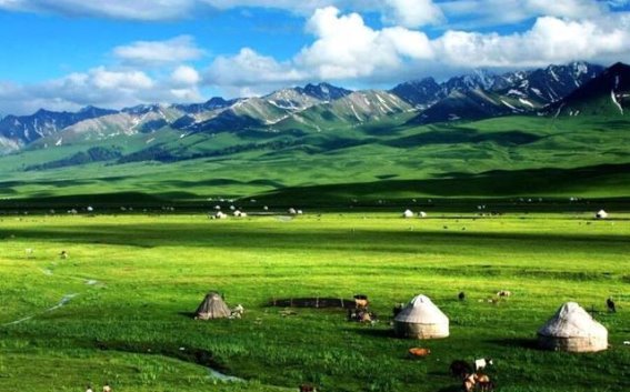 酷暑中的清凉秘境：夏天必访的8个避暑胜地