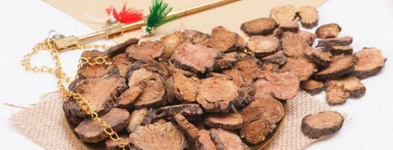 三味妙药解崩漏——地榆、贯众、白头翁的应用探讨