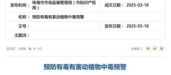 危险无解药！蟾蜍毒性致命，勿尝试食用