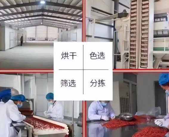 毒枸杞隐患揭露：工业硫磺加工致肾衰竭，监管部门已介入调查