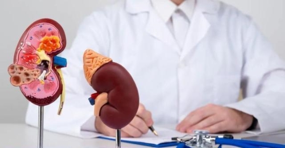 肾病治疗费用全解析：从病情到治疗选择，哪些因素影响费用支出