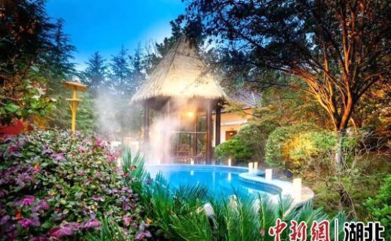 知音湖北2024温泉嘉年华：开启温泉之旅，品味健康生活