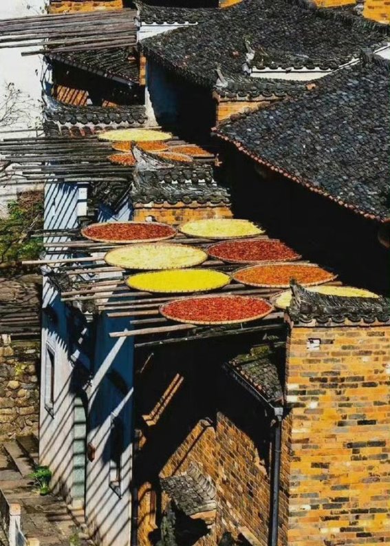 婺源：江南水乡中的诗意栖居