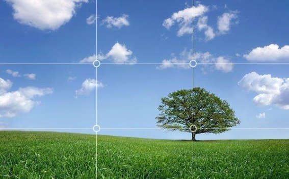 拍出震撼人心的风景照：5个摄影技巧让你提升技艺