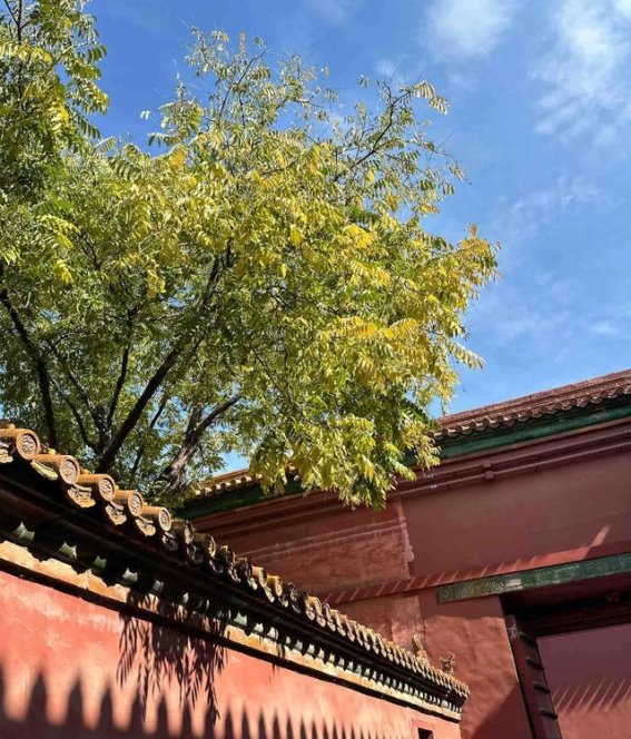 探索北京：三天两晚的完美旅行计划与必游景点