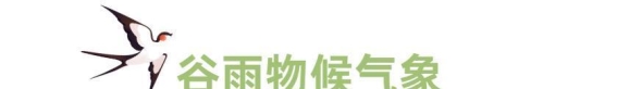 谷雨的最后一抹春色，万物生长正当时