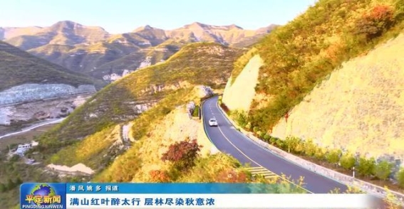 秋韵太行：层林尽染的红叶之旅