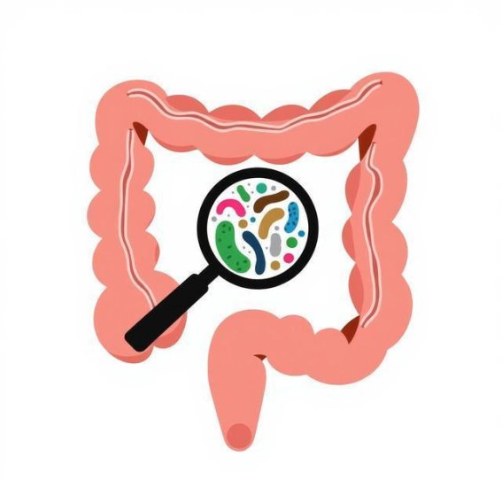 久泻难愈？从脾肾虚寒到标本兼治的中医智慧