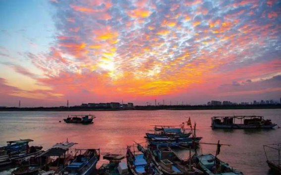 畅游湾区风华——探索赣湘闽韵的12日专列之旅