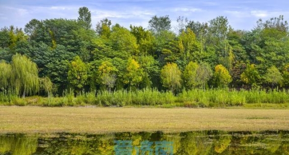 深秋的济南：玉符河的色彩盛宴