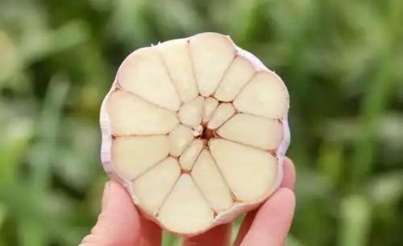 前列腺癌与饮食的关系：如何通过食物预防癌症的发生