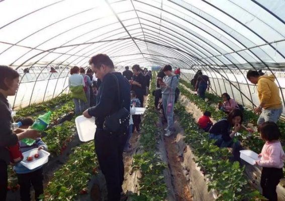 黄河沿岸的三日探索：自然与文化交织的山水之旅