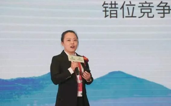 仲景灸法大会：千年艾香再度飘扬，传统智慧焕发新生