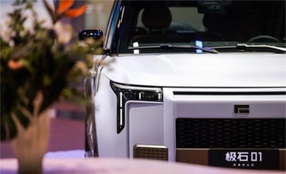 极石汽车的生存策略与未来挑战
