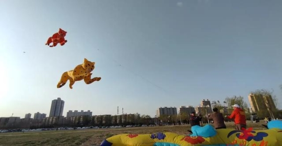 渭柳湿地公园3D立体风筝展示引人瞩目，春风中翱翔的艺术奇迹