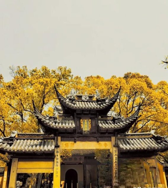 5元门票，10元管饱，西园寺的宁静与美好，你值得一探
