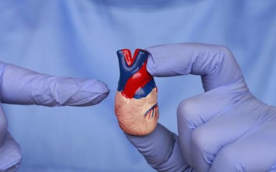 冬季心血管疾病防治：冬寒中的健康守护