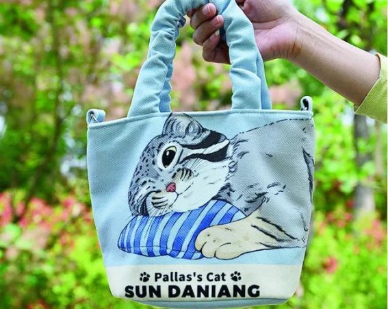 西宁：一座高原之城的诗意栖居