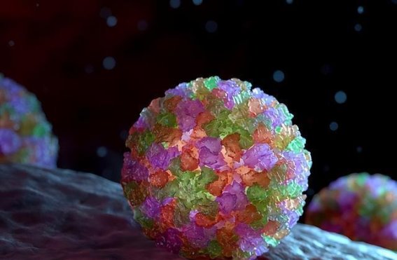 诺如病毒爆发：校园中的隐形威胁与防控对策