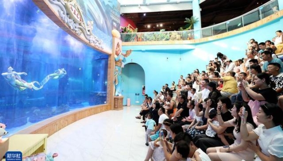 海洋馆人造鲸鲨事件：科技创新与透明度之争