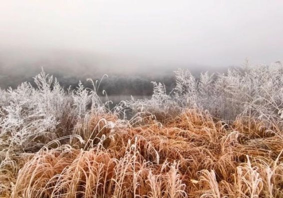 初冬秘境，雾凇如诗如画的延边江畔