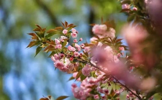 春日江南，浙江户外探秘之旅