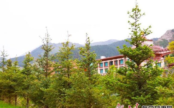 冰沟河的潋滟波光与高原的诗意