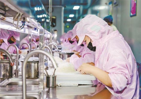 燕窝的选择与品质：厦门标准下的安全与营养
