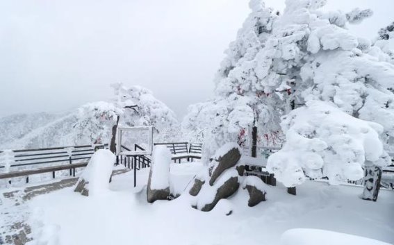 有一种心动，叫老界岭的冬天