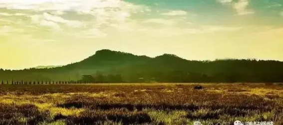舒城云雾山旅游开发步伐加快，绿色农旅新篇章