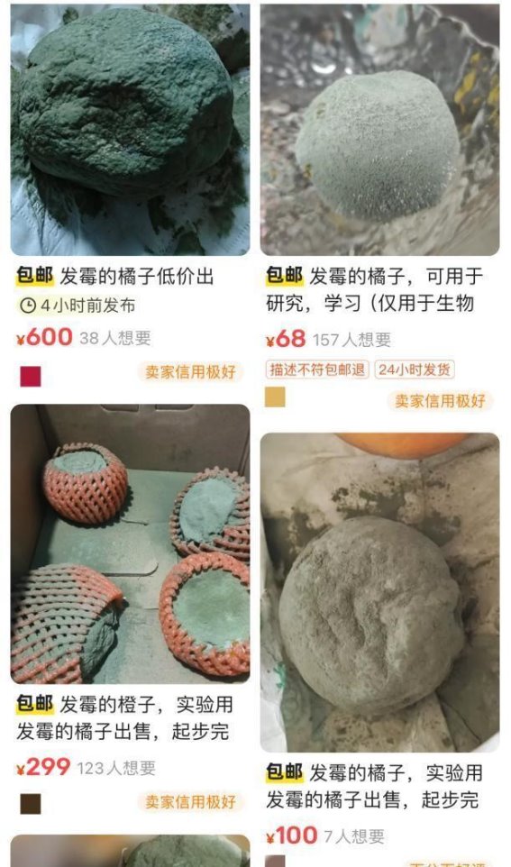 发霉橘子热销背后的隐忧，专家提醒谨慎处理