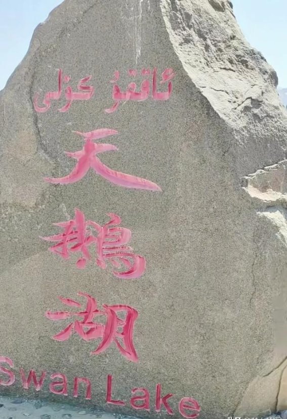 孝感天鹅湖：大自然的瑰宝，宁静与美丽的完美结合