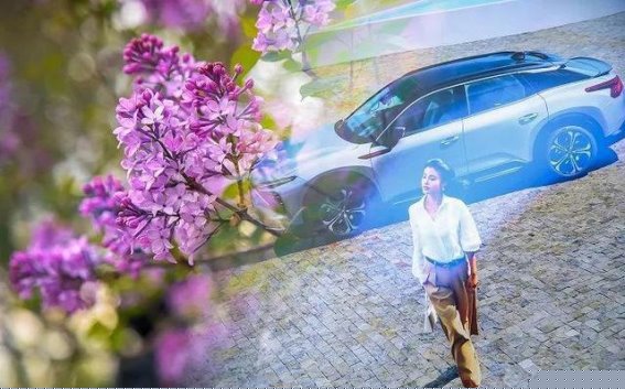 雪铁龙凡尔赛C5X与标致508油耗对比：谁更省油？